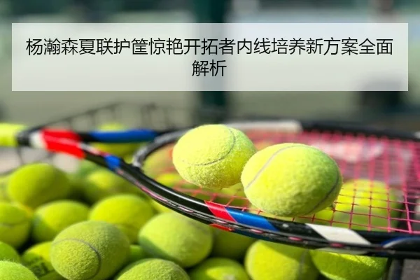 杨瀚森夏联护筐惊艳开拓者内线培养新方案全面解析