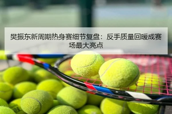 樊振东新周期热身赛细节复盘：反手质量回暖成赛场最大亮点